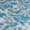 Aralia Ming - Image 3